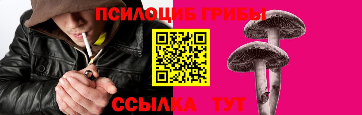 Чистополь  цены   Вход с VPN  Псилоцибиновые грибы Magic Shrooms  Галлюциногенные грибы Psilocybe 